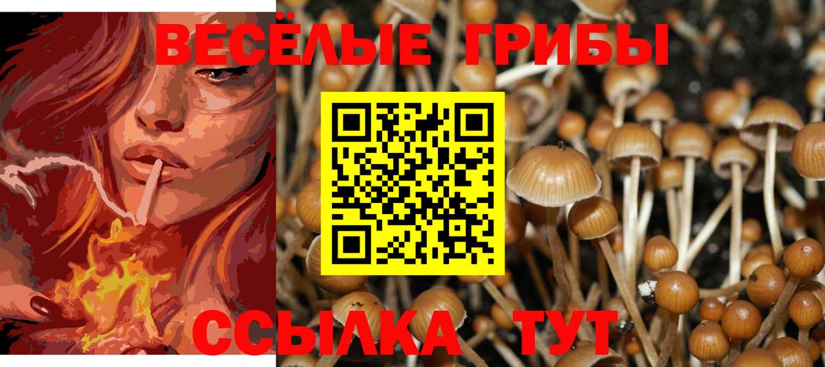 Киреевск  Галлюциногенные грибы GOLDEN TEACHER  Вход с VPN 