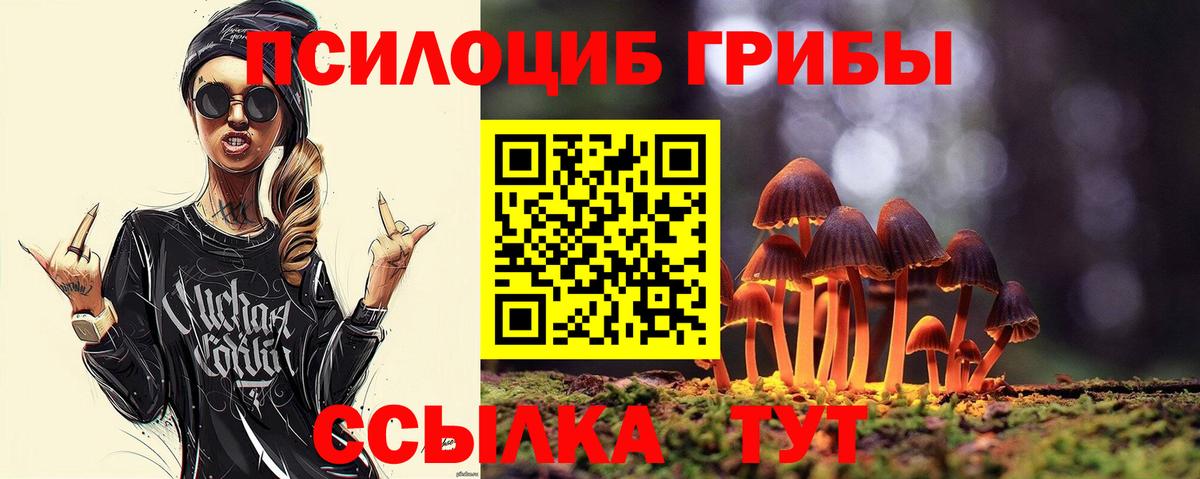 Псилоцибиновые грибы Psilocybine cubensis Киреевск